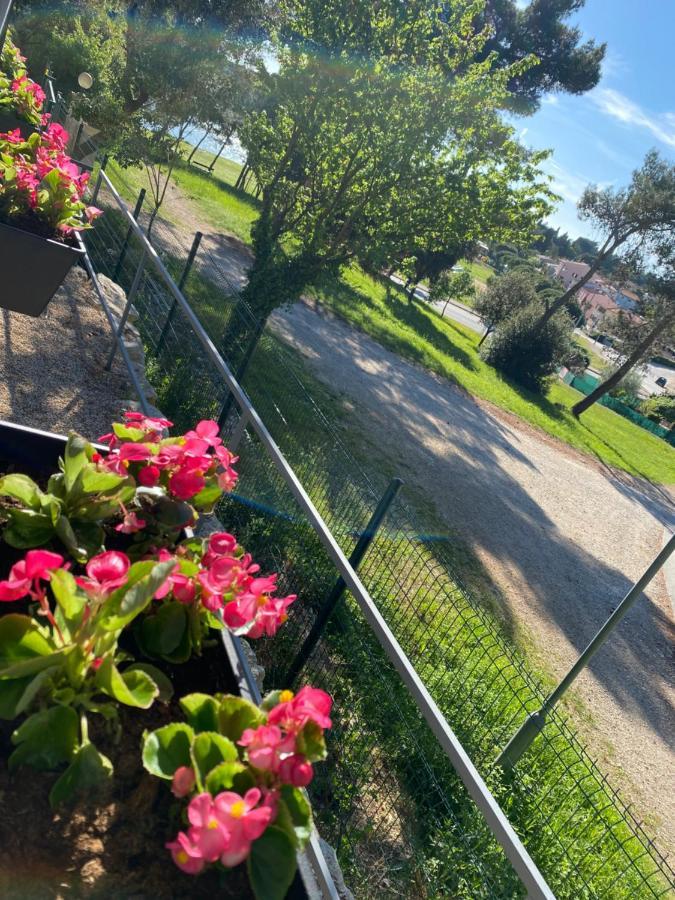 Mobile Home Biondina Camp Porton Nature Hideouts Rovinj Exterior photo